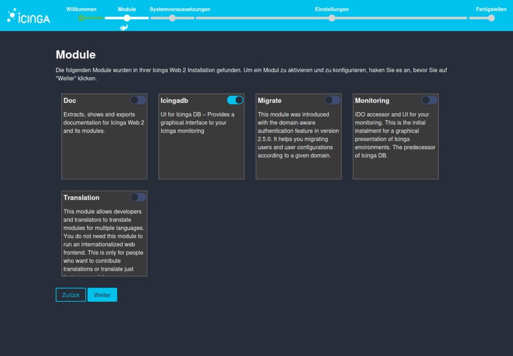 Wähle die Module aus, die du nutzen willst für die Installation von Icinga DB-Web auf Ubuntu 24.04.